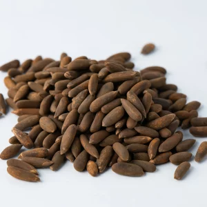 Pine Nut